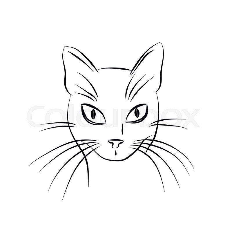 800x800 Cat Face. Black And White Sketch. Vector Illustration Stock