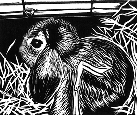 277x233 Personal Work