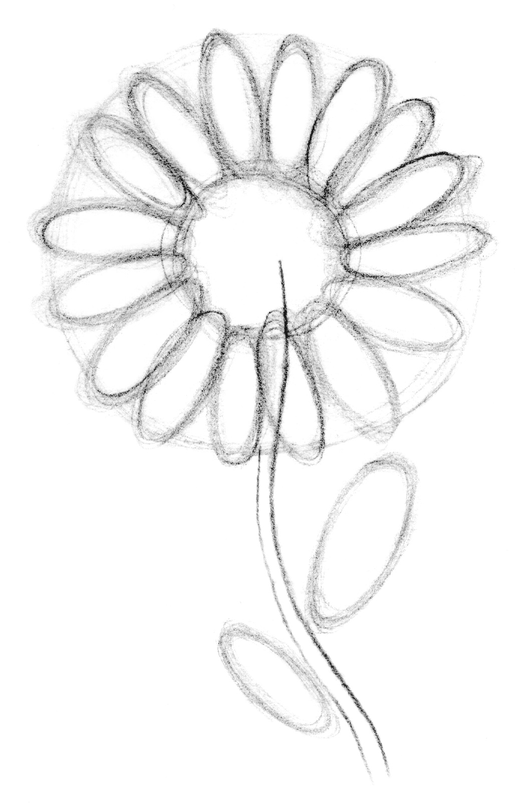 1028x1602 Drawing Lesson Flower The Scribbles Institute