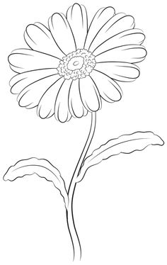 236x374 How To Draw A Daisy Step By Step Rockd Drawings
