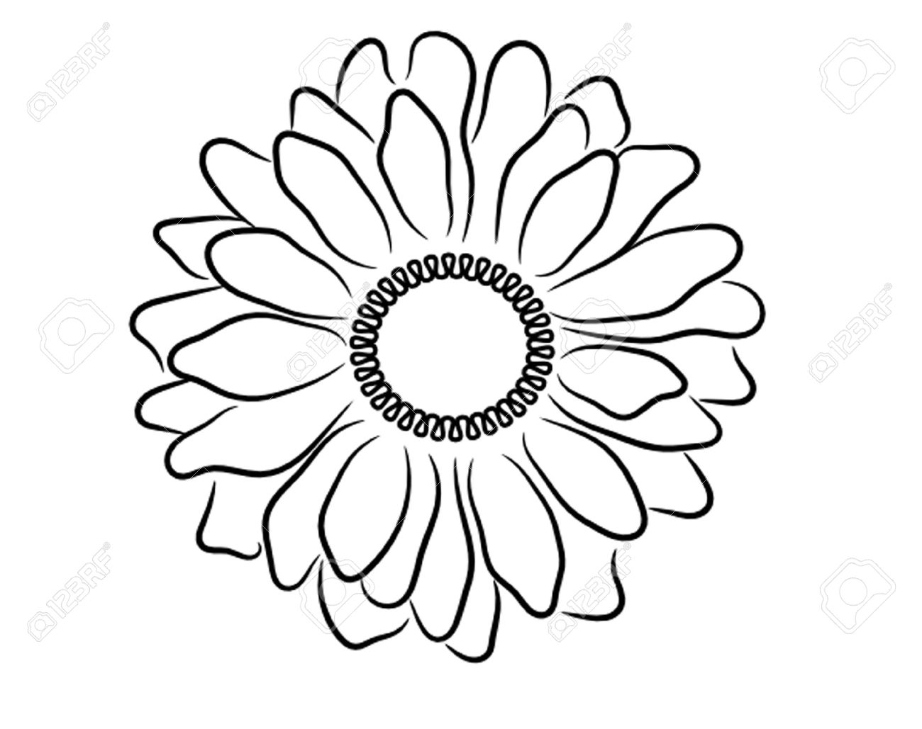 1300x1029 Black White Daisy Outline Royalty Free Cliparts, Vectors,