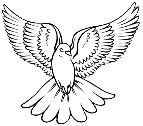 500x440 Dove Tattoo Design
