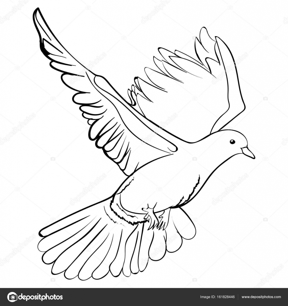 963x1024 Free Flying White Dove, Sketch Vector Illustration Stock Vector