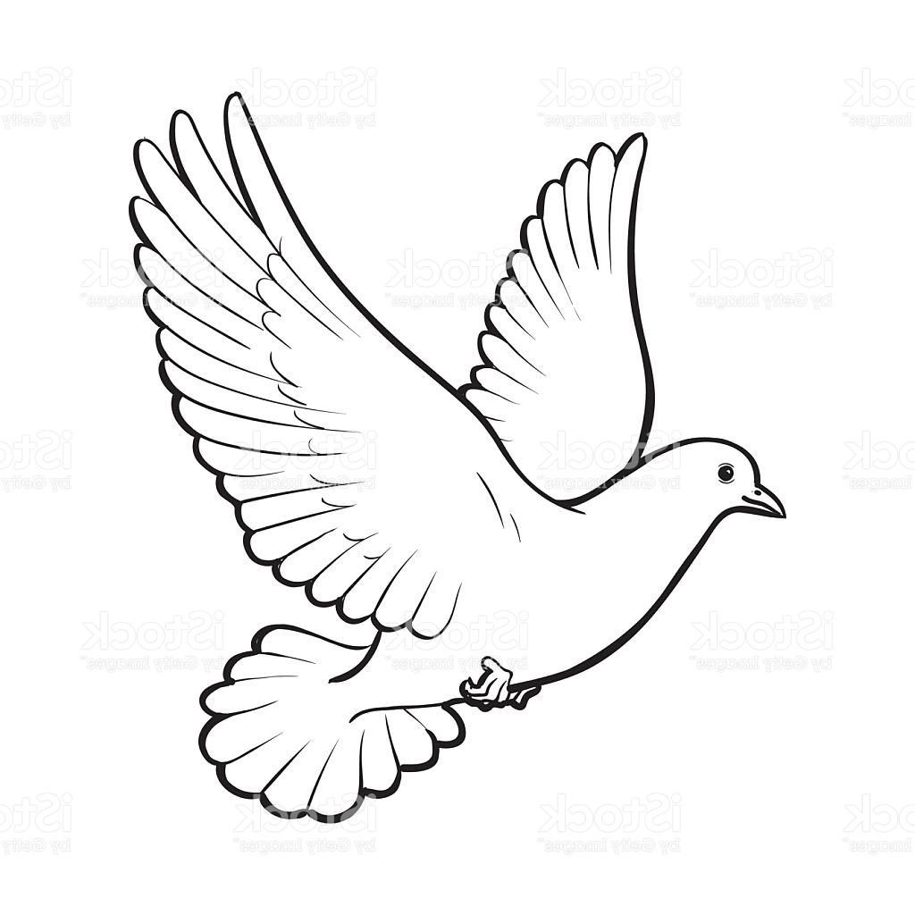 1024x1024 Top 10 Free Flying White Dove Isolated Sketch Style Illustration