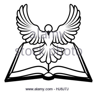 340x320 White Dove Animal Vector. Dove And Peace, White Bird Isolated