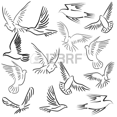 450x450 Hand Drawn Pair Of Flying Doves Isolated On White Background