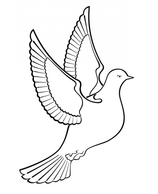 508x626 Outlined Dove Bird Vector Free Download