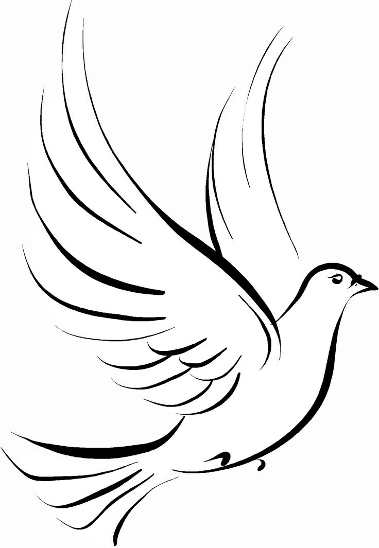 White Doves Drawing at GetDrawings | Free download