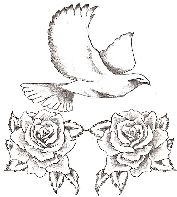 White Doves Drawing at GetDrawings | Free download