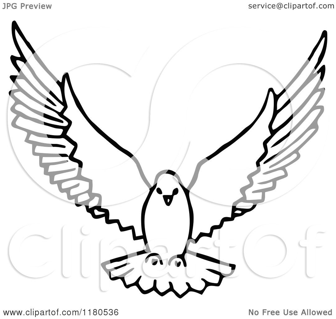 1080x1024 Clipart Of A Black And White Dove Flying