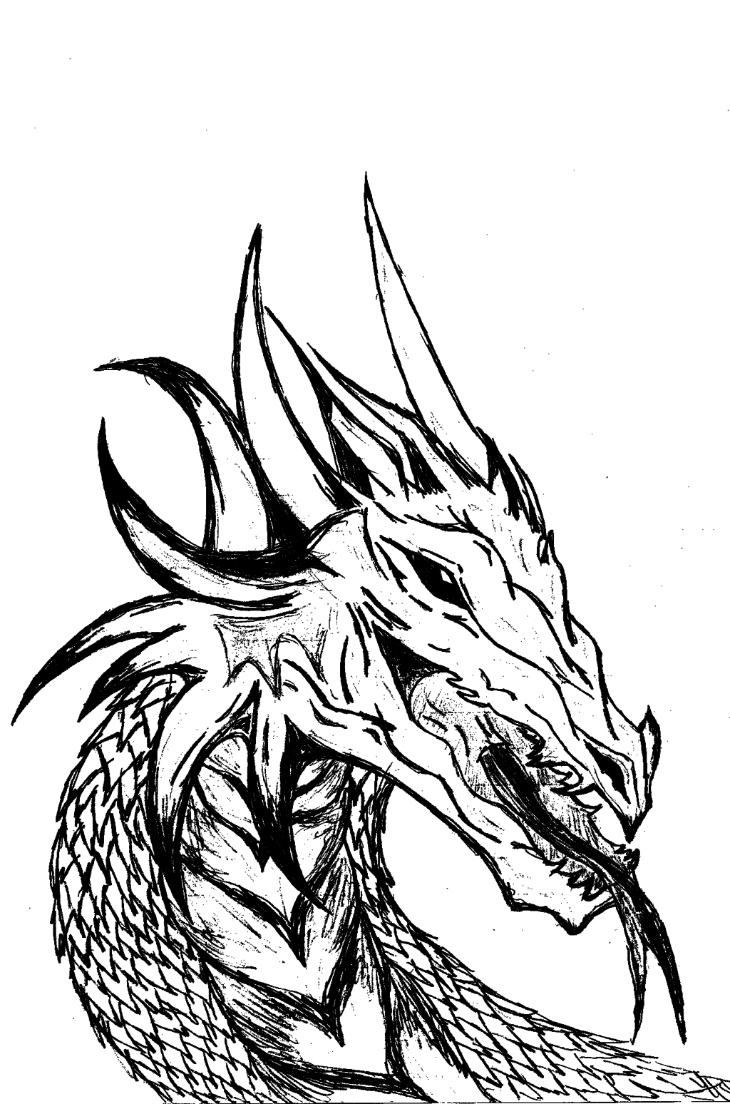 1024x1548 Cool Black And White Drawings Dragon Head (Black And White