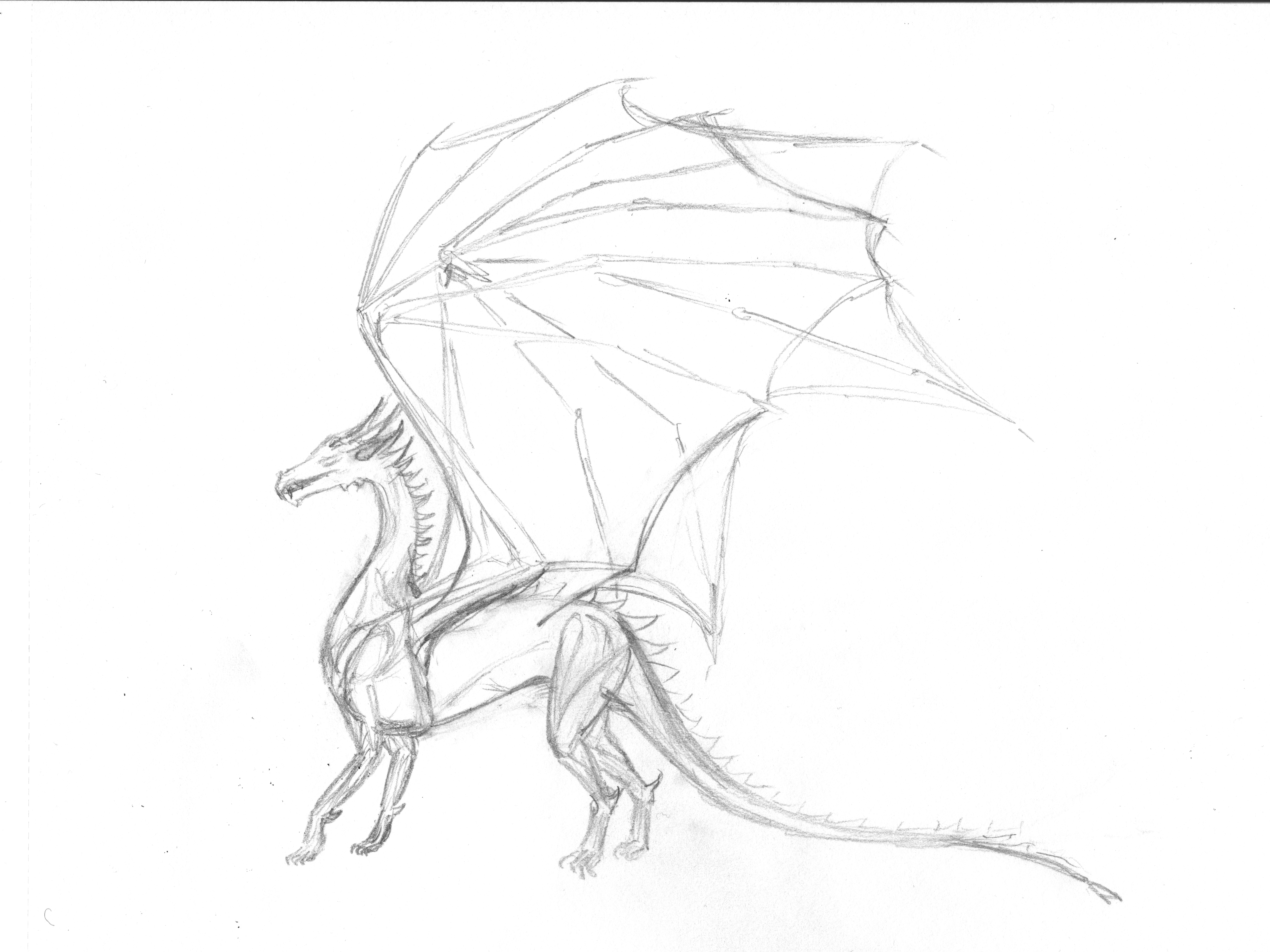 6602x4952 Don'T Know What To Draw, Draw A Dragon Anna Podlipentseva