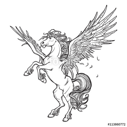 500x500 Pegasus Supernatural Beast. Sketch Isolated On White Background