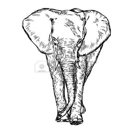 450x450 Drawn Elephant Strong