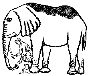 318x265 Of White Elephants And Gifting