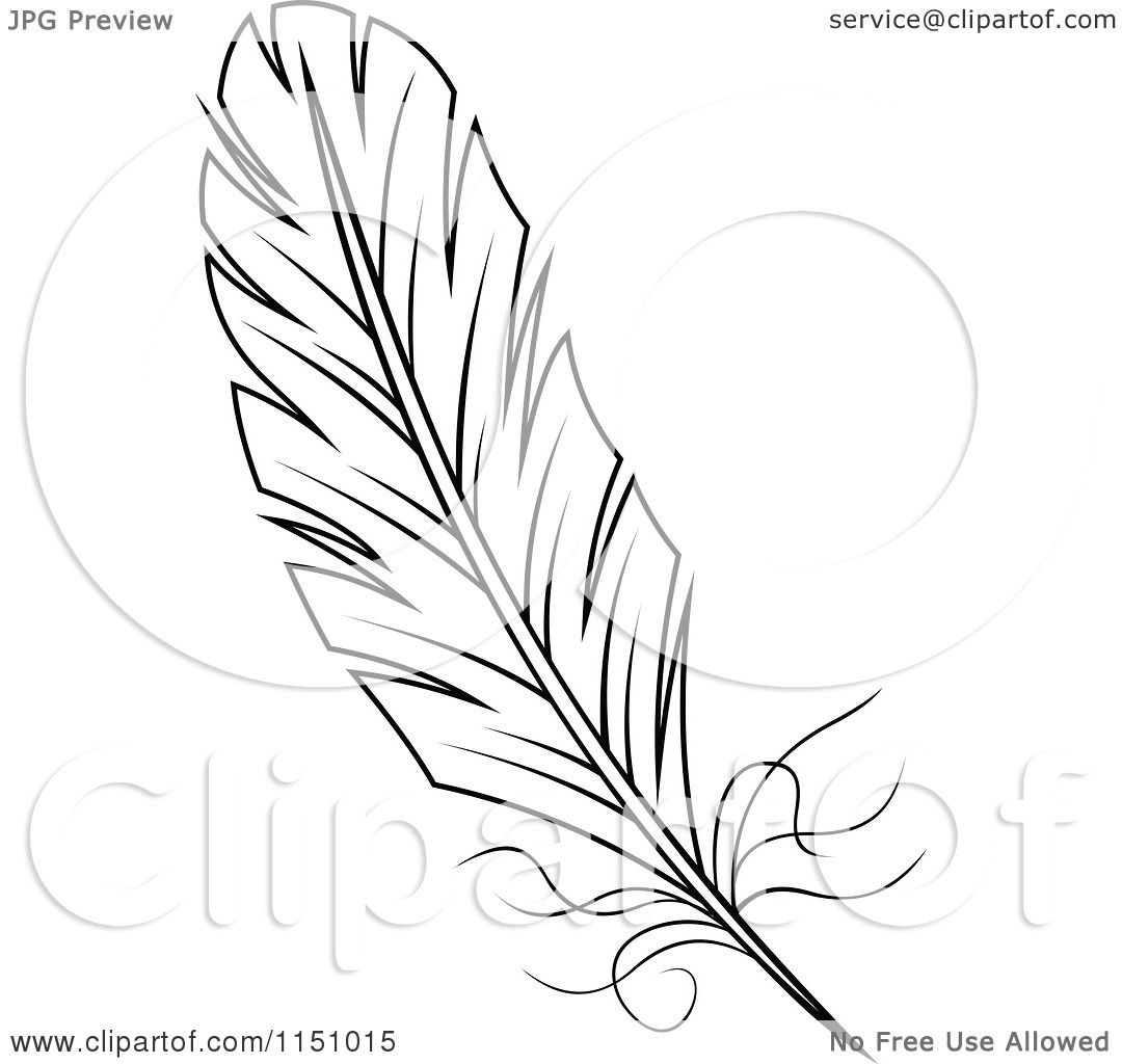1080x1024 Clipart Of A Black And White Feather 5
