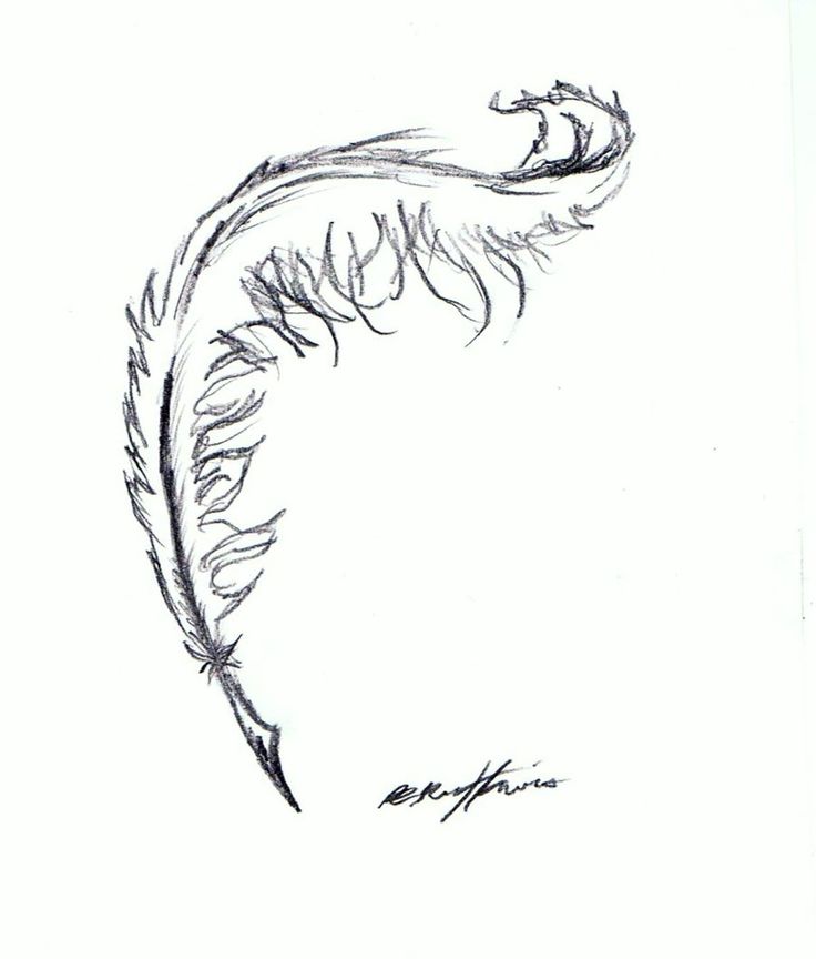 736x864 Collection Of Feather Tattoo Drawing