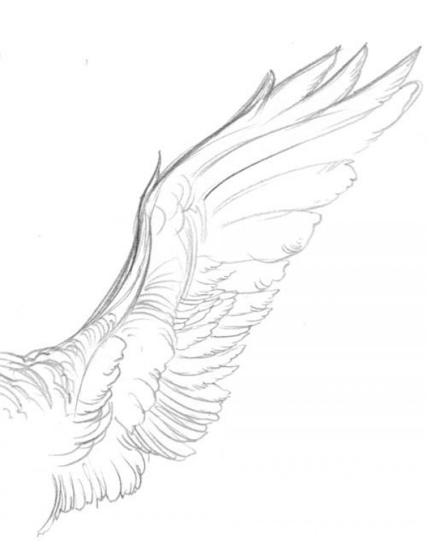 600x772 Dreamscapes Myth Amp Magic Demonstration Drawing Feathers Digital