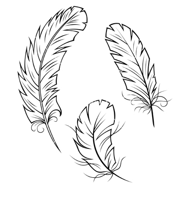 380x400 Bird Feathers Set Vector 819917