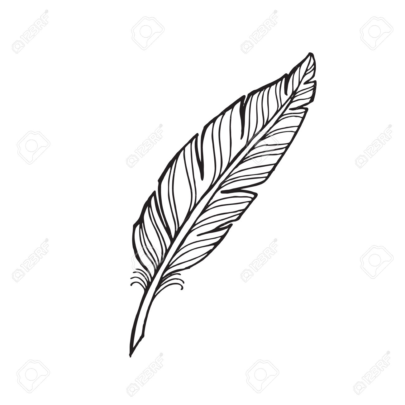 1300x1300 Black And White Feather On A White Background. Tattoo Feather