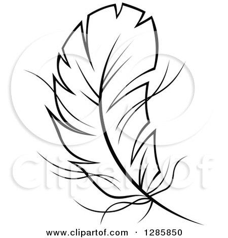 450x470 Clipart Of A Black And White Feather 11