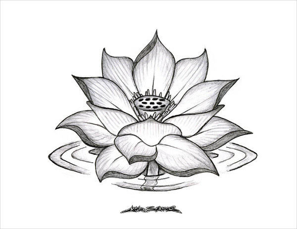 White Flower Drawing