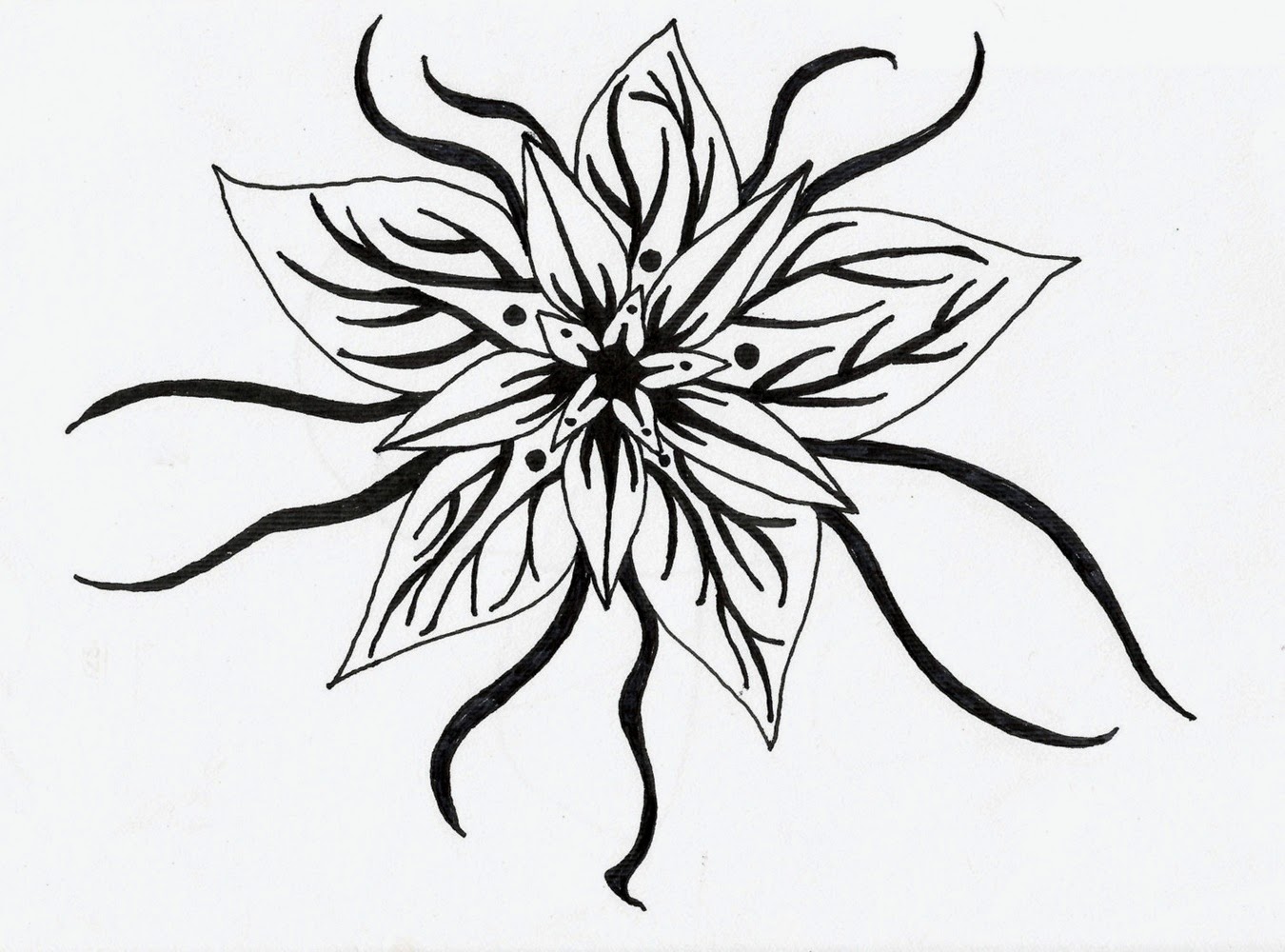 1350x1000 Black And White Flower Design Many Flowers