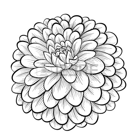 450x450 Gallery For Gt Dahlia Tattoo Black And White Tattoo Ideas