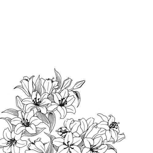 500x500 And White Flowers Drawings Tumblr