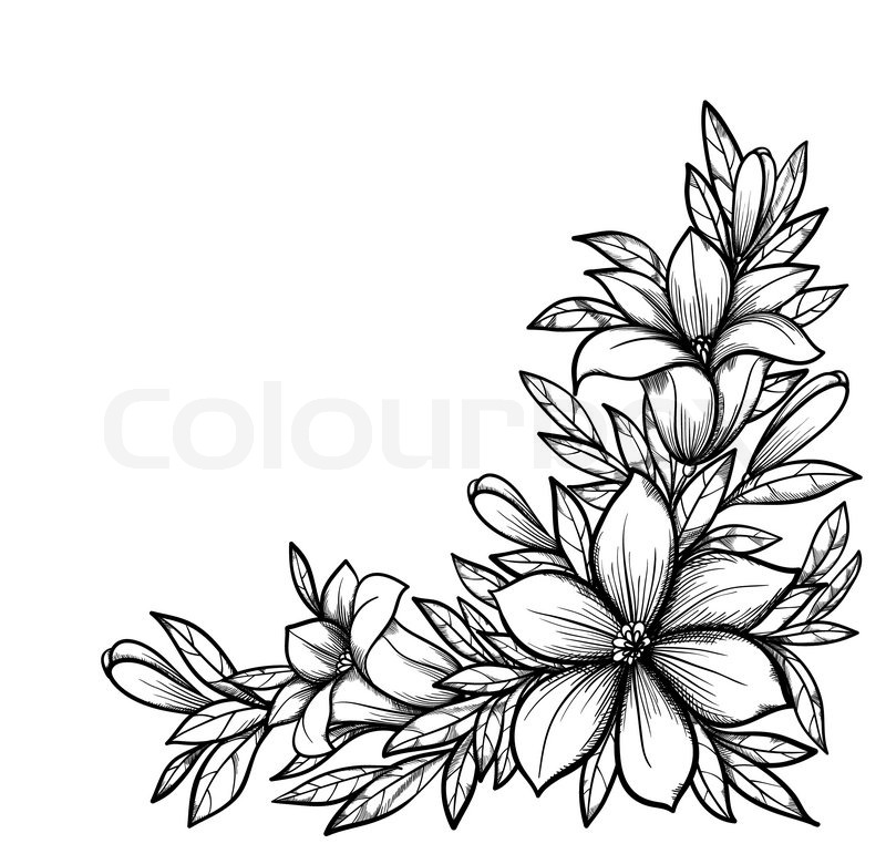 800x771 Free Copy Line Drawing Roses