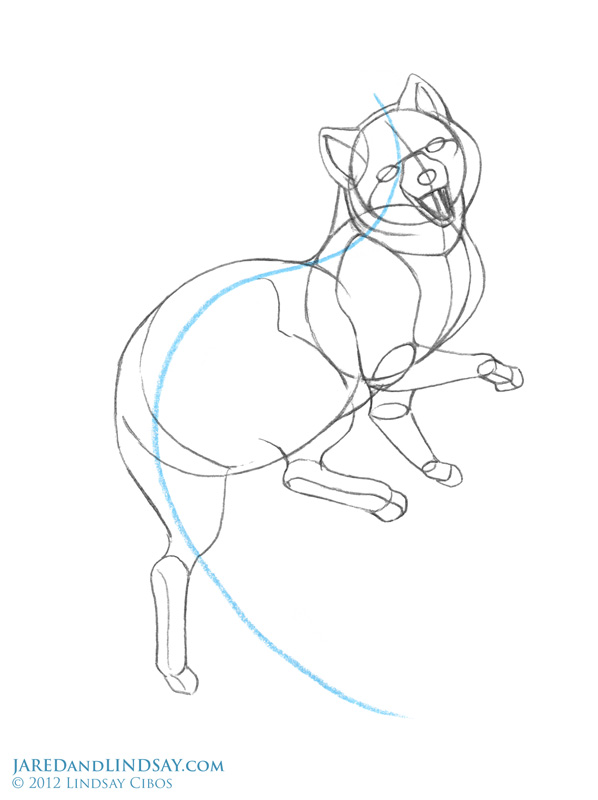 598x800 How To Draw An Arctic Fox Last Of The Polar Bears