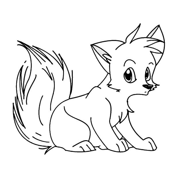 600x600 Arctic Fox Coloring Pages