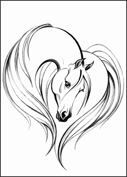 490x684 Easy Drawing Of A Horse Hduas Elegant 25 Best Ideas About Horse