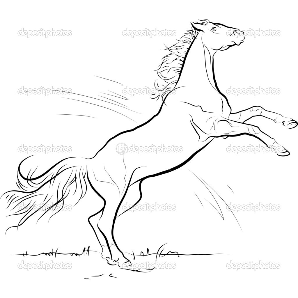 1024x1024 Black And White Drawings Of Horses Drawing Black And White Horse