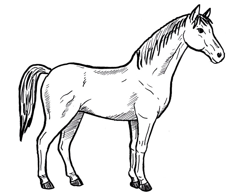 824x663 Horse Draw