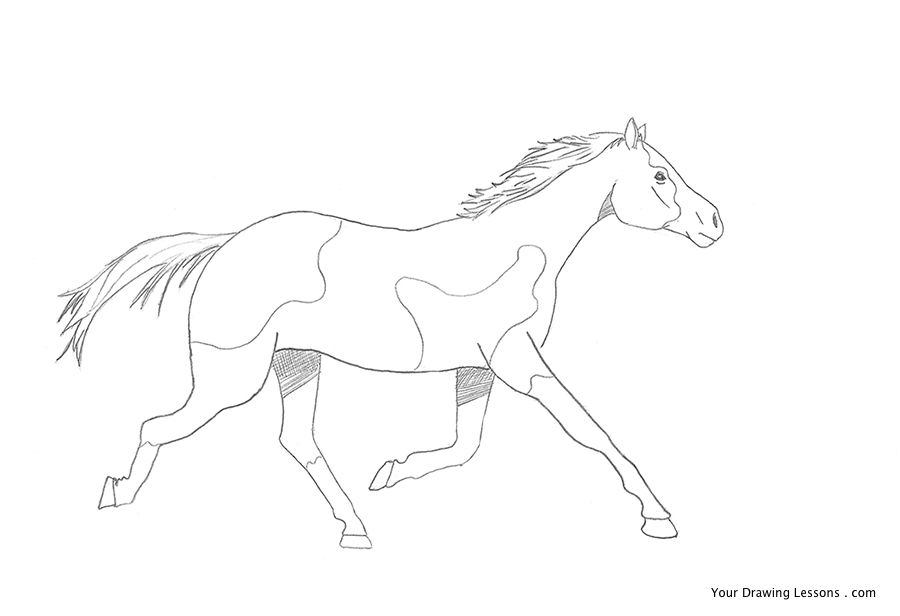 900x616 How To Draw A Galloping Horse Your Drawing Lessons
