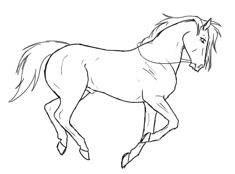 818x606 Karasus White Horse By Weltblue