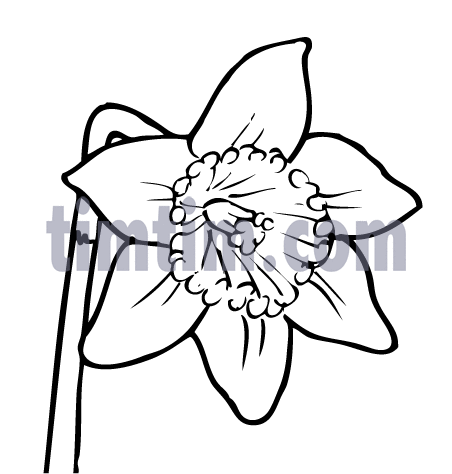 452x474 Free Drawing Of Easter Lily Bw From The Category Valentines Easter