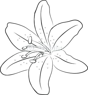 369x400 Flower Drawing Outline