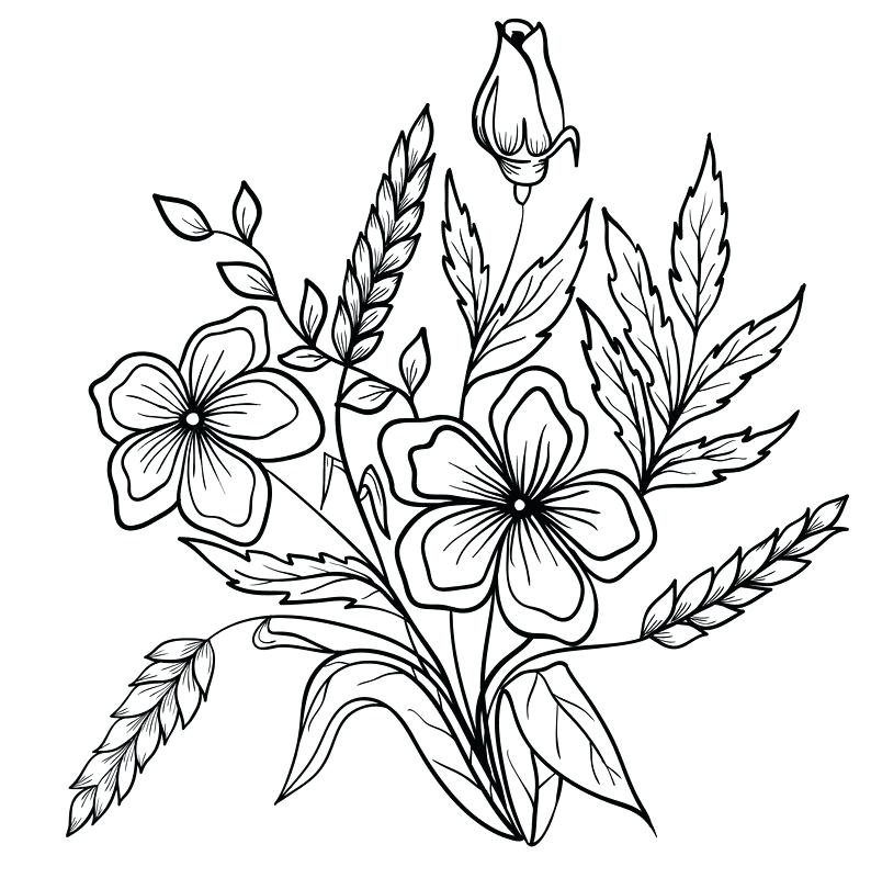 794x800 Flower Drawing Outline