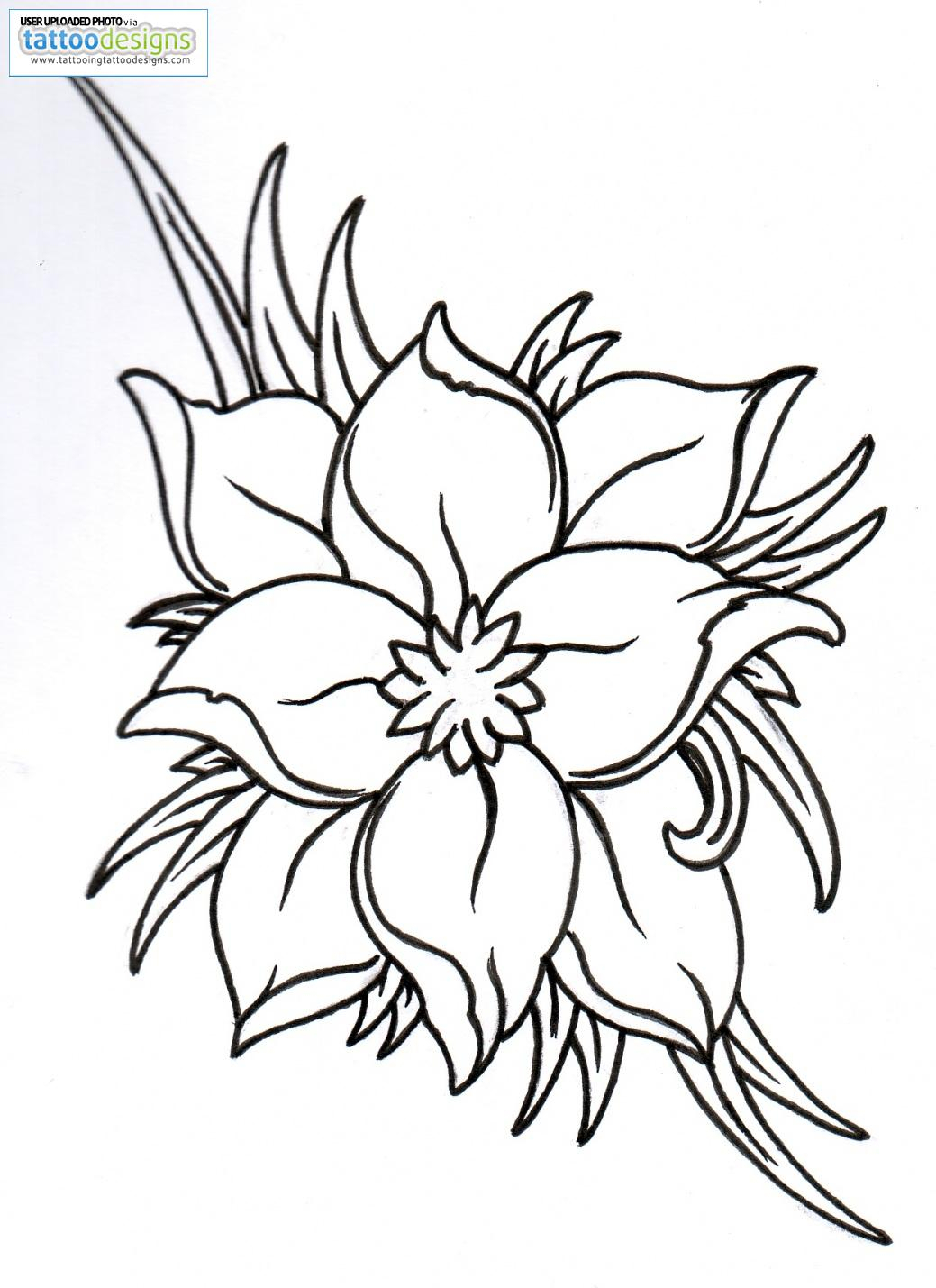 1039x1429 Lotus Flower Outline Drawing Higher Resolution Fantasy Flower