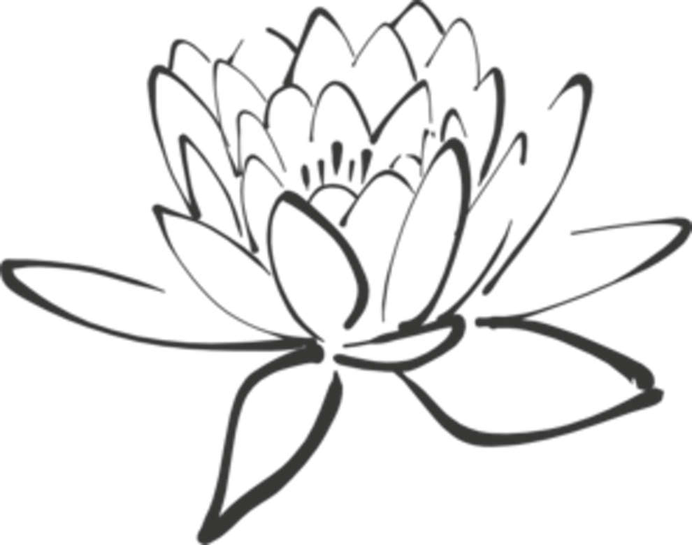 990x780 Unique Stock Of Lotus Flower Pictures Black And White Lotus