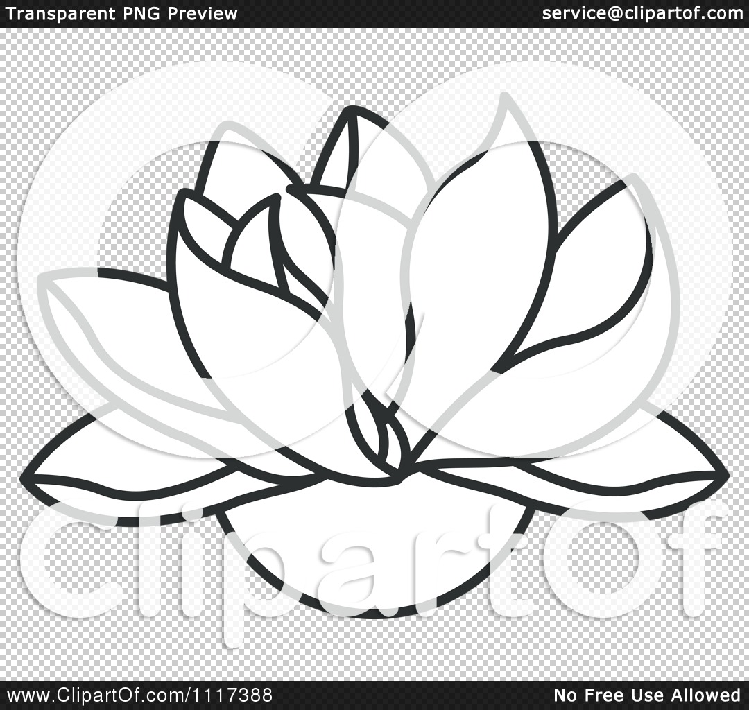 1080x1024 Clipart Of A Black And White Lotus Flower