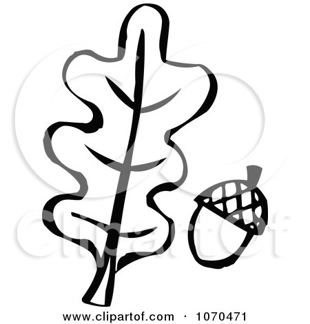 450x470 Clipart Black And White Oak Leaf And Acorn