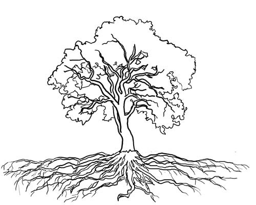500x400 W 2010 11 19 Tree Outline Lifestyle Tree Outline