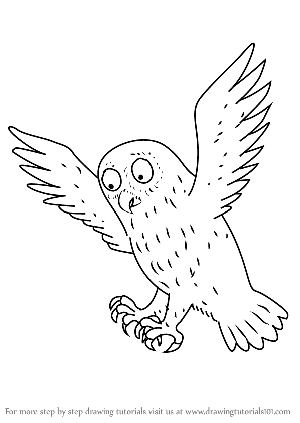598x844 Learn How To Draw Owl From The Gruffalo (The Gruffalo) Step By