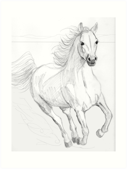 413x549 Running Arabian Horse Pencil Drawing Art Prints By Teddie