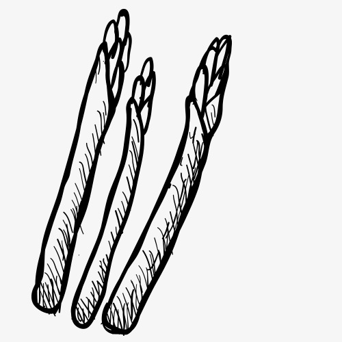 500x500 Pencil Drawing,fruits Vegetables,vegetables,sketch,black