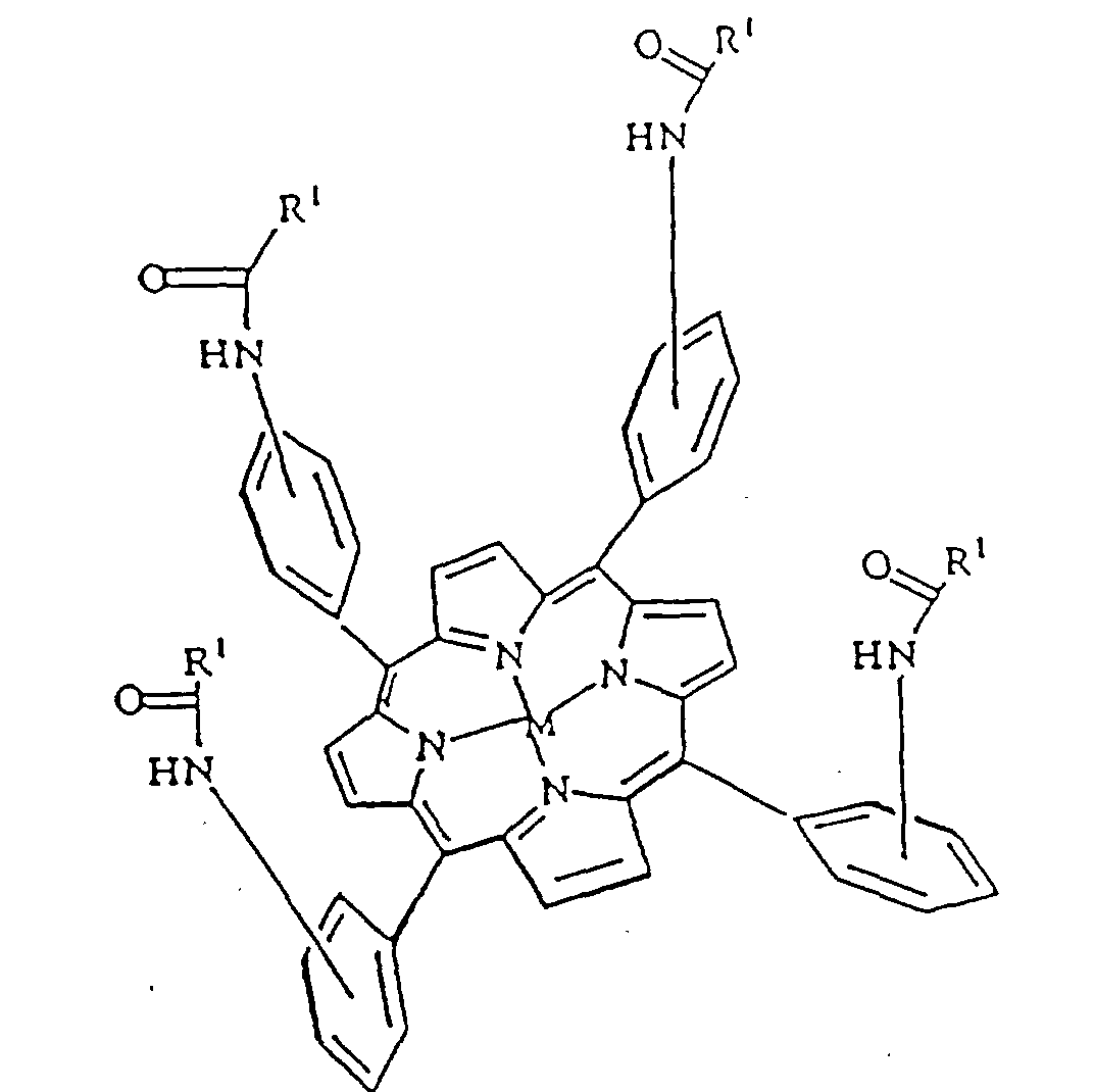 1072x1070 Ep0775157b1