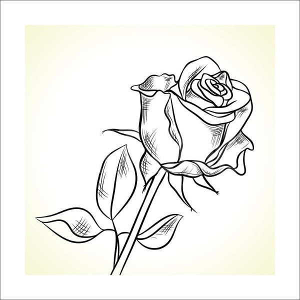 600x600 Black And White Drawing